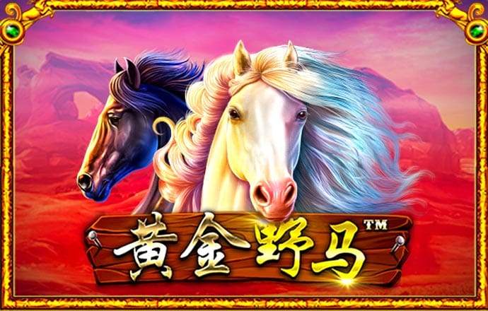 196体育最新登录网站